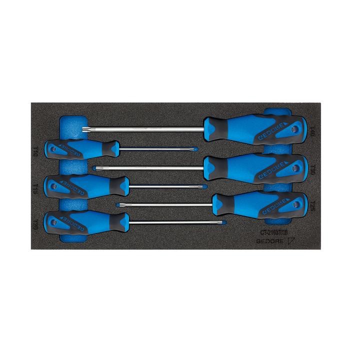 GEDORE Screwdriver set in Check-Tool-Module (2309157)