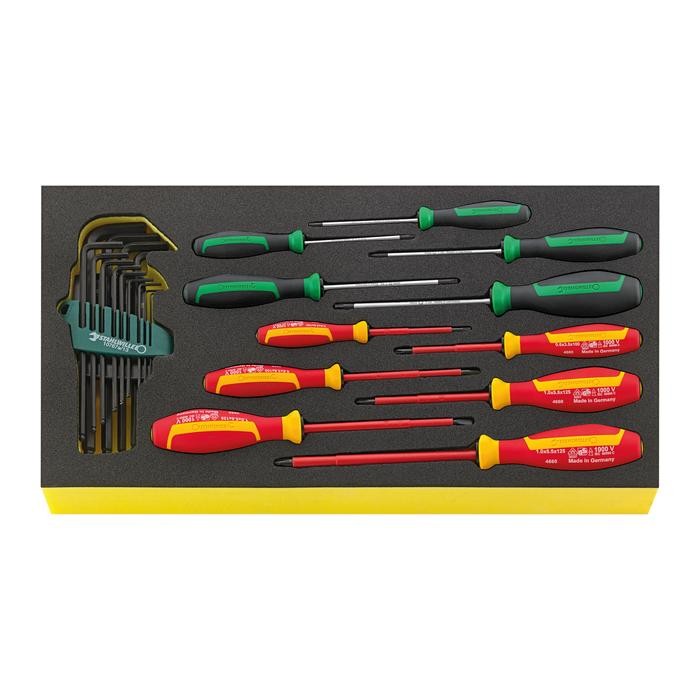 Stahlwille TOOL SET IN TOOL-CONTROL TRAY-SYSTEM TCS WT 4650-4665