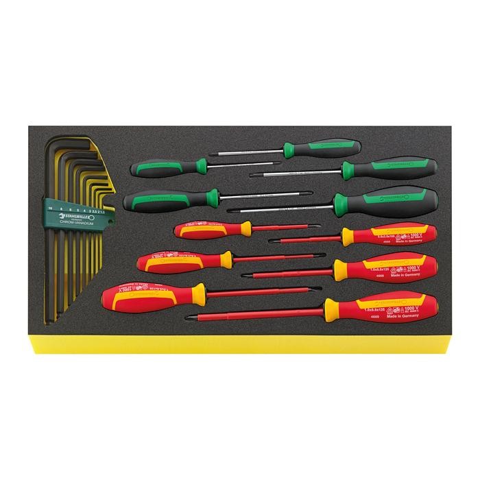 Stahlwille TOOL SET IN TOOL-CONTROL TRAY-SYSTEM TCS WT 4650-4665-1
